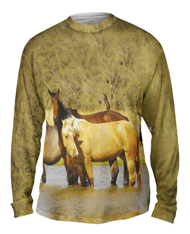 Horses At Stream