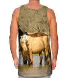 Horses At Stream