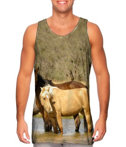 Horses At Stream