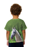 Kids Dreamy Ghost White Paso Fino Horse