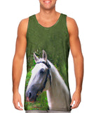 Dreamy Ghost White Paso Fino Horse