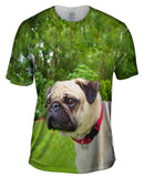 Pug Of Honor