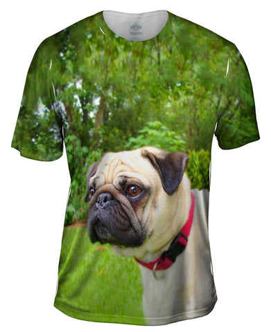Pug Of Honor