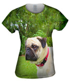 Pug Of Honor