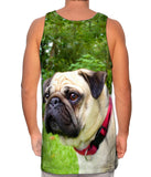 Pug Of Honor