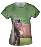 I Love Hay Horse
