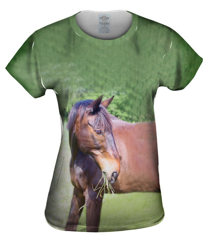 I Love Hay Horse