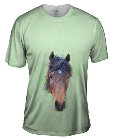 Bashful Horse