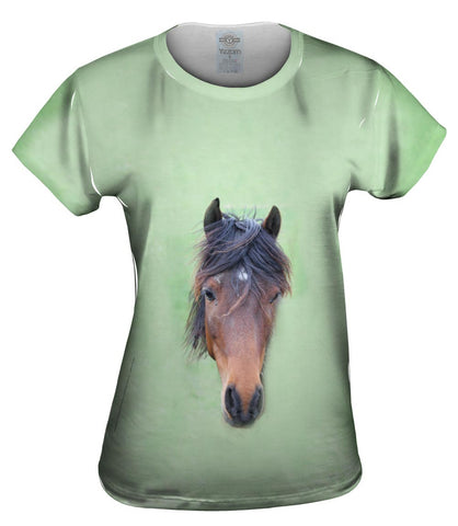 Bashful Horse