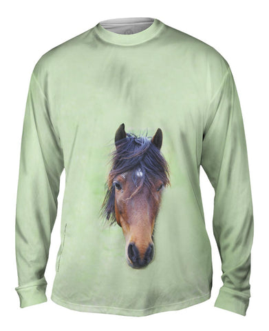 Bashful Horse