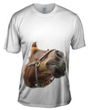 Big Mouth Horse