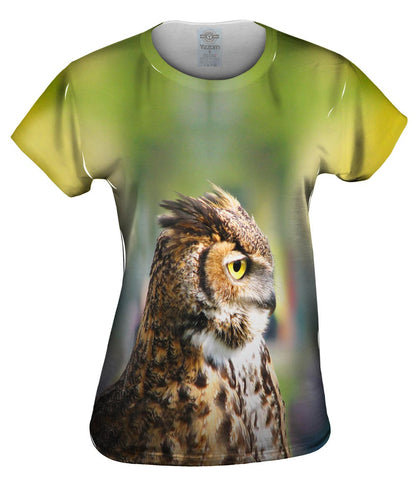 Furry Owl
