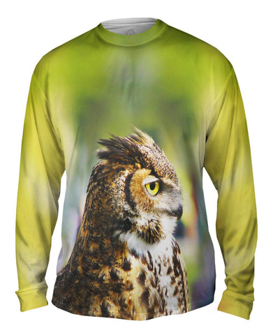 Furry Owl