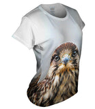 Cool Falcon