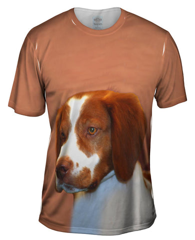 Red Spaniel