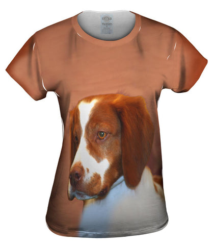 Red Spaniel