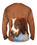 Red Spaniel