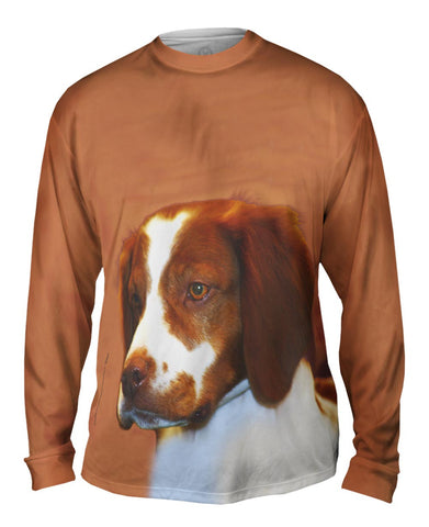Red Spaniel