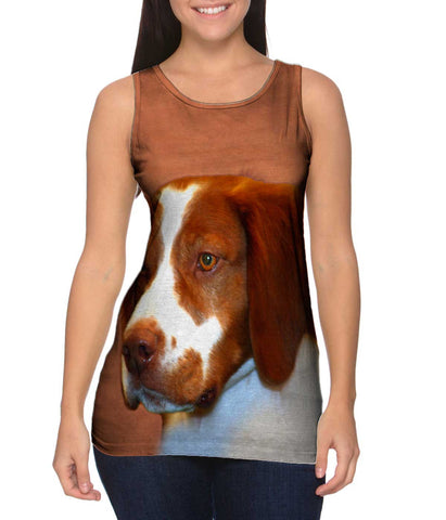 Red Spaniel