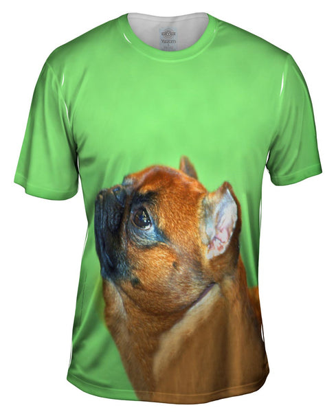 Aspirational Little Brown Pug Mens T-Shirt