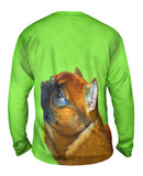 Aspirational Little Brown Pug