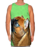 Aspirational Little Brown Pug