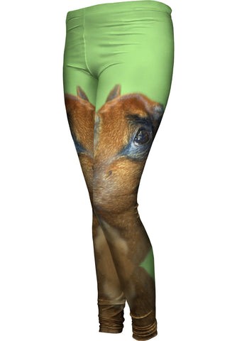 Aspirational Little Brown Pug