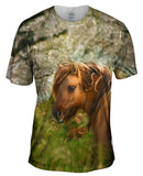 Wild Hair Horse