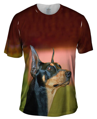 Aspirational Doberman