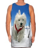 Super Giant White Terrier