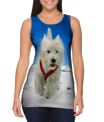 Super Giant White Terrier