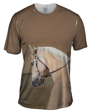 Serious Gold Paso Fino