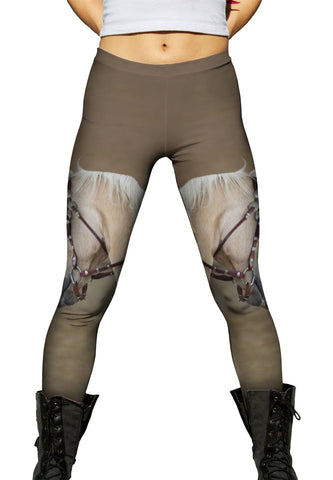 Serious Gold Paso Fino