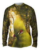 Green Taraco Parrot