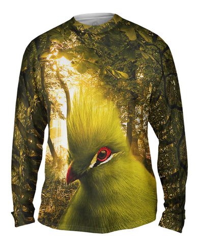 Green Taraco Parrot