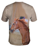 Galloping Paso Fino