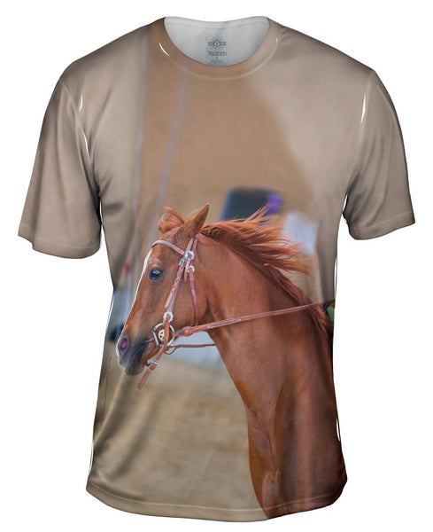 Galloping Paso Fino Mens T-Shirt