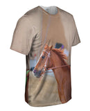Galloping Paso Fino