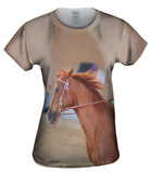 Galloping Paso Fino
