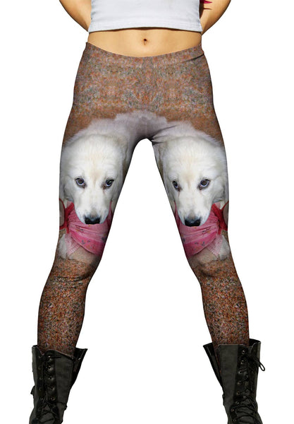 Chew Toy Labrador Womens Leggings
