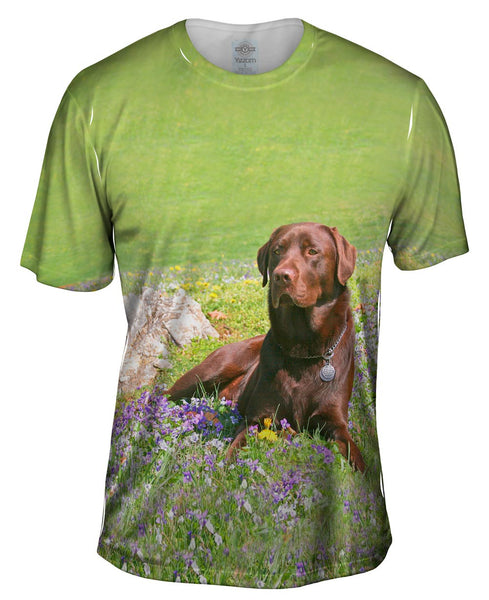 Chocolate Lab In Spring Mens T-Shirt