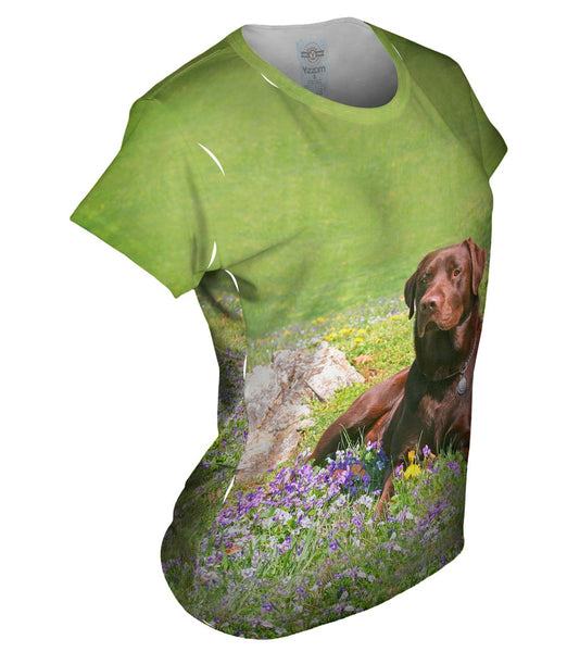 Chocolate Lab In Spring Womens Top | Yizzam