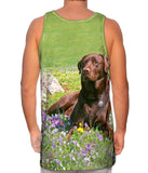 Chocolate Lab In Spring