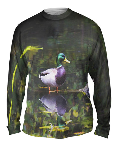 Handsome Duck