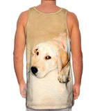 Golden Lab Cooling Off