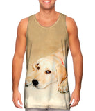 Golden Lab Cooling Off