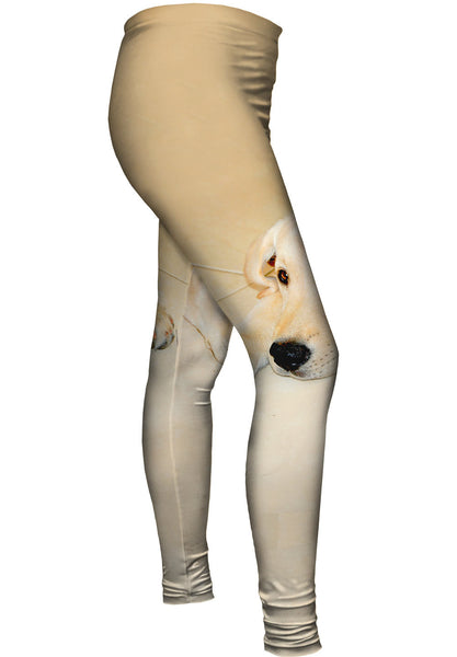 Golden Lab Cooling Off Womens Leggings