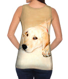 Golden Lab Cooling Off
