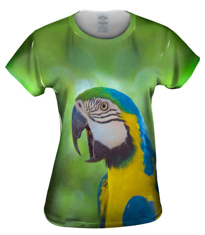 Talking Parrot