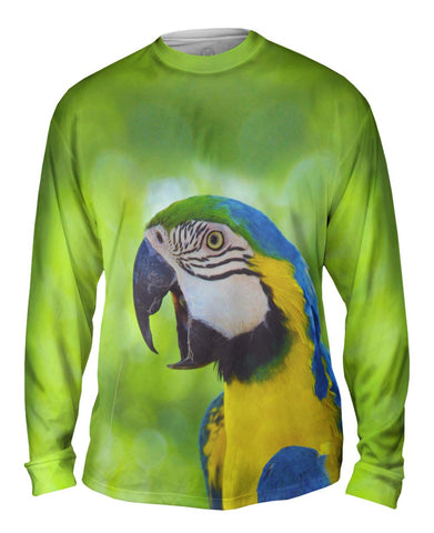 Talking Parrot
